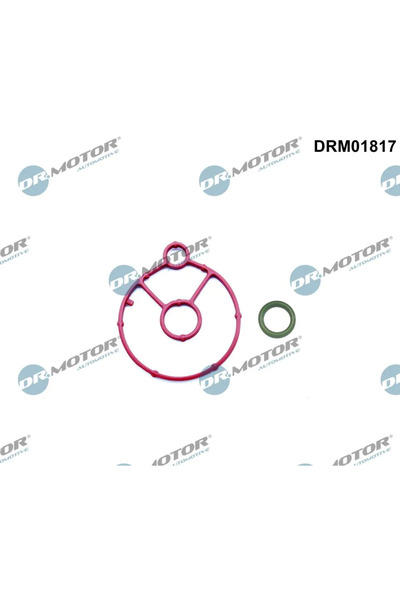 DR.MOTOR AUTOMOTIVE Set Garnituri Radiator Ulei Citroen C4 2/C4 Grand Picasso...