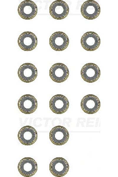 VICTOR REINZ Set Garnituri Ax Supape Maruti Alto/Wagon R Maruti Suzuki Estilo...