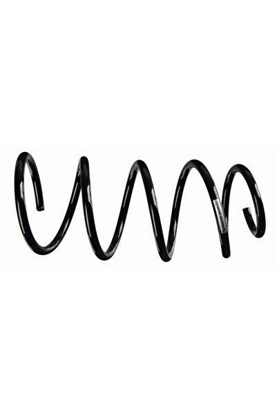 SACHS Arc Spiral Bmw 1/3