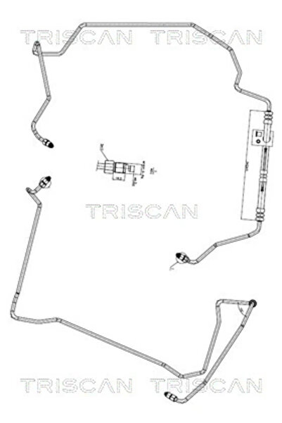 TRISCAN Furtun Hidraulic Sistem De Directie De La Pompa Hidraulica La Caseta ...