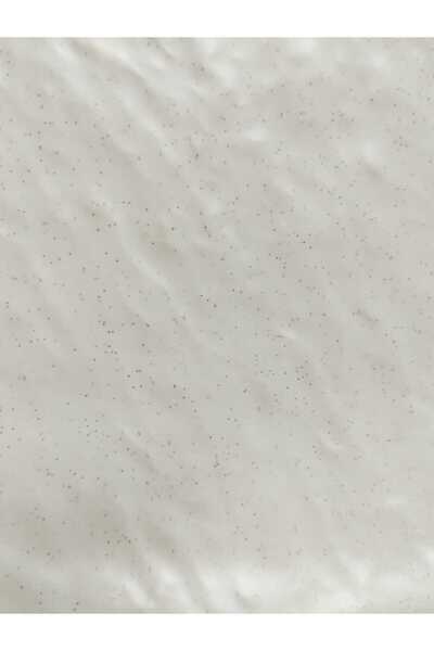 FORMEL 26X32 cm Thermoplus Serving Plate Beige Color (Pack of 4)