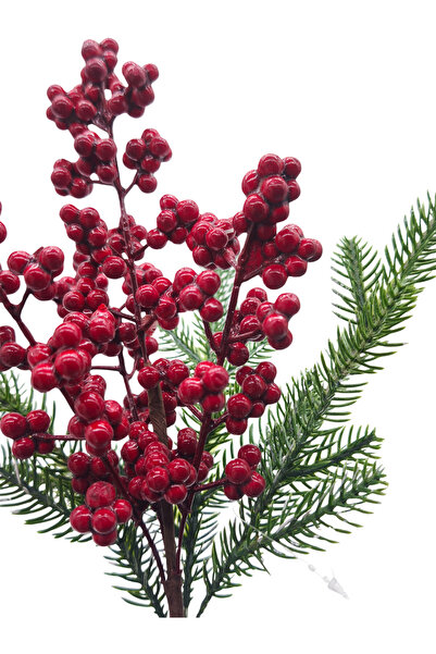 Çınar çiçekçilik Yılbaşı Küçük Taneli Kırmızı Berry & Çam Dalı – Dekoratif 37 cm