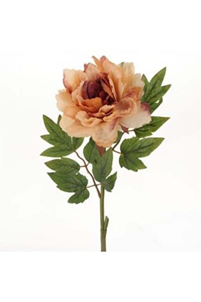 Jumbo Floare artificială cu tulpină lungă, bujor roz-șampanie, 71 cm