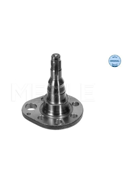 MEYLE Articulatie Directie Suspensie Roata Axa Spate Dreapta Vw Golf 3/Passat...