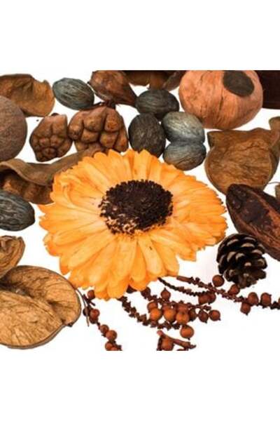 Jumbo Set decorativ cu dovleci portocalii și floarea-soarelui