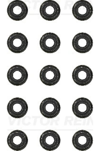 VICTOR REINZ Set Garnituri Ax Supape Audi A4 B5/A4 B6/A6 C4 Vw Passat B5 1995...