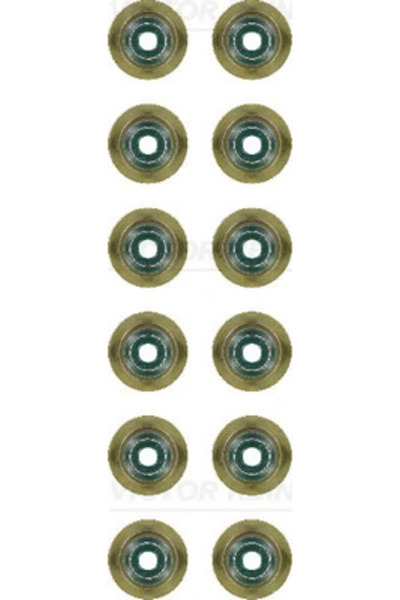 VICTOR REINZ Set garnituri ax supape BMW 6 Cabriolet 2004-2010 12-37256-01