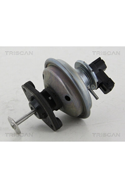 TRISCAN Supapa Egr Bmw 1/3/5 Mini Mini