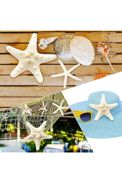 Generic ELECDON 12 PCS Natural Starfish 2.5-6 Inch Decor for Crafts, Beach Th...