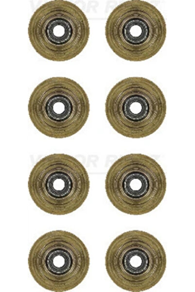 VICTOR REINZ Set Garnituri Ax Supape Ford Fiesta 5/Fusion/Ka