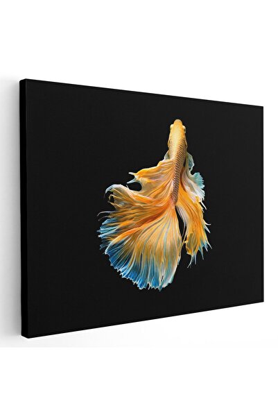 Tablou Canvas Tablou peste luptator siamez galben albastru negru, cod 1581