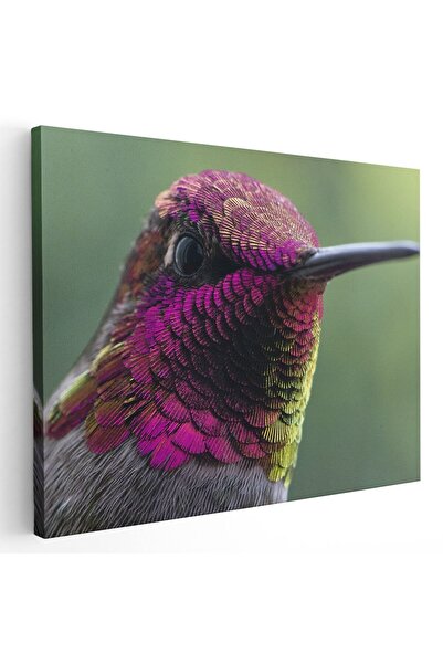 Tablou Canvas Tablou pasare colibri mov verde, cod 1902