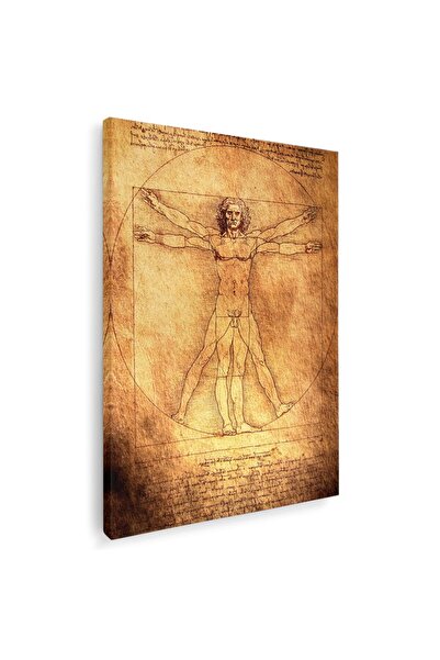 Tablou Canvas Tablou desen Omul Vitruvian de Leonardo da Vinci, maro, cod 1425