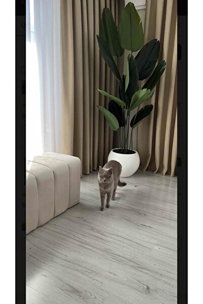 Adayapaycicek YAPAY CİCEK AĞAÇ YAPAY ÇİÇEK 180 CM 12 YAPRAK STARLİCE