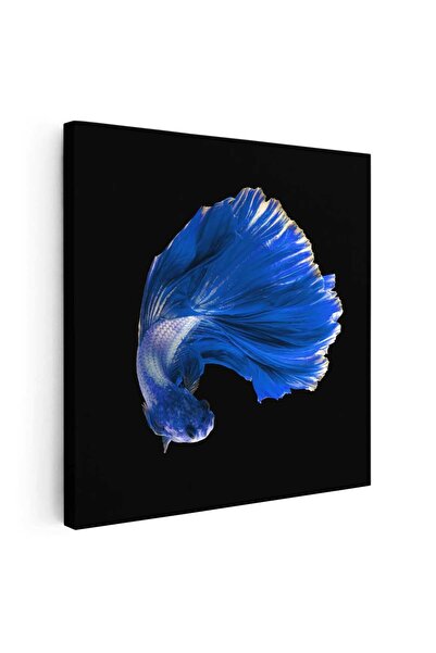 Tablou Canvas Tablou peste pesti betta albastru, cod 1703