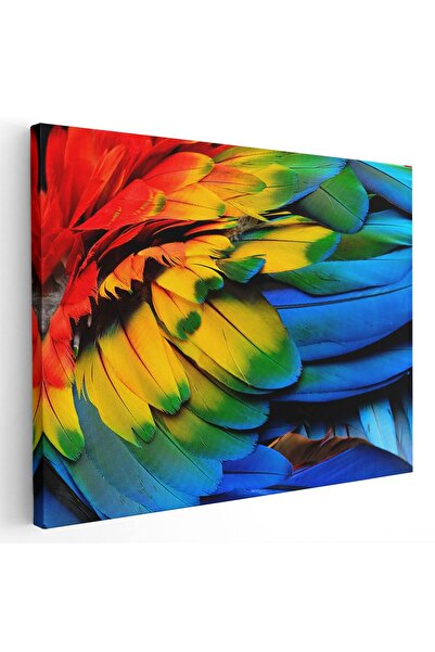 Tablou Canvas Tablou aripa papagal ara, detaliu, multicolor, cod 1912