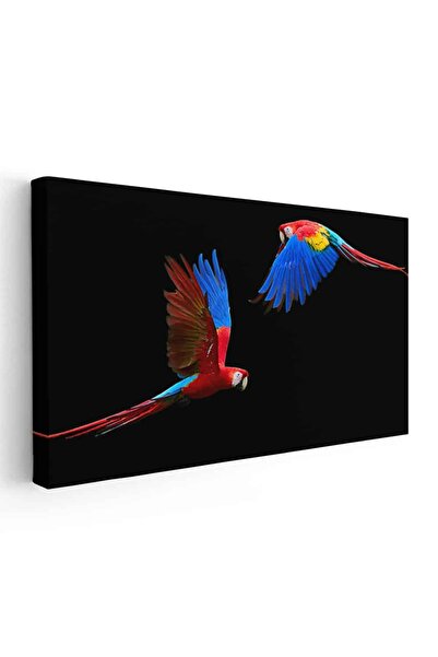 Tablou Canvas Tablou doi papagali Ara in zbor, cod 1757