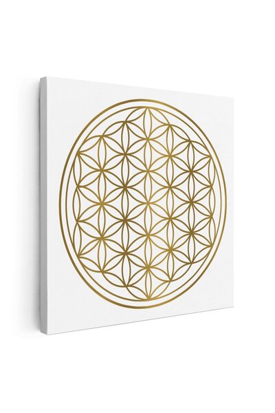 Tablou Canvas Tablou simbol floarea vietii remediu Feng Shui, galben, cod 1336