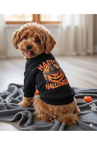 PetiliDünya hallowen kabak baskı köpek kıyafeti kedi köpek sweat