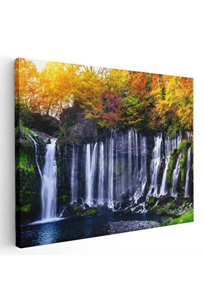 Tablou Canvas Tablou peisaj cascada Shiraito Japonia, cod 3133