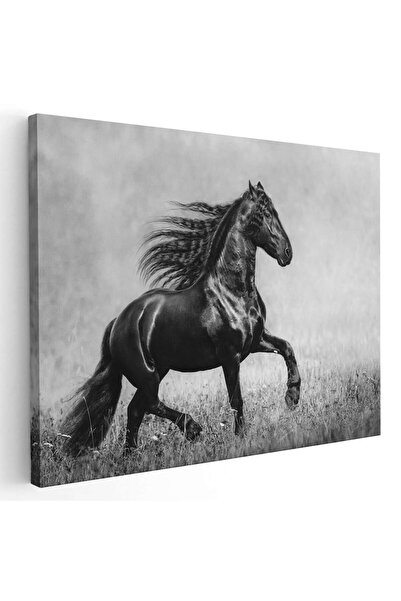 Tablou Canvas Tablou cal negru alergand, cod 3042