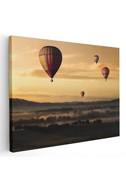 Tablou Canvas Tablou peisaj baloane cu aer cald la apus, cod 4469