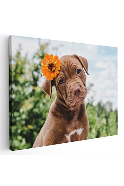 Tablou Canvas Tablou cÃ¢ine Pitbull cu floare, cod 4171