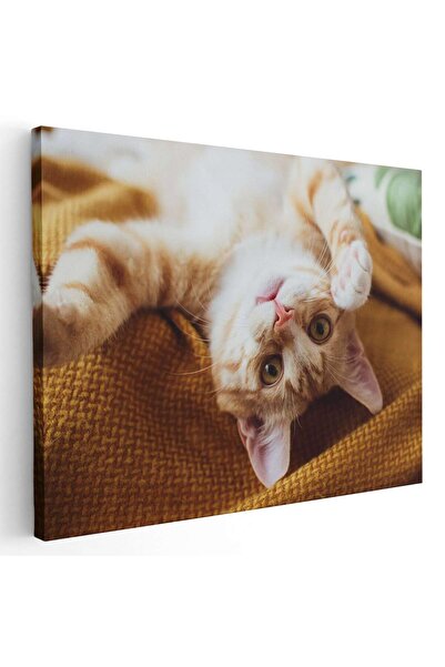 Tablou Canvas Tablou pisica jucandu-se, cod 4207