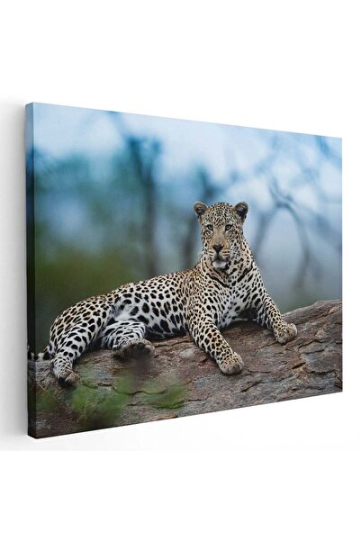 Tablou Canvas Tablou leopard odihnindu-se, cod 3250