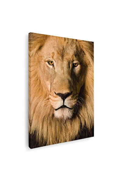 Tablou Canvas Tablou portret leu, cod 3123