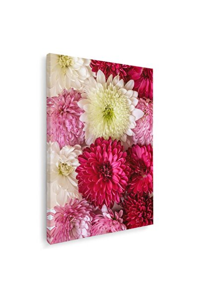 Tablou Canvas Tablou flori crizanteme detaliu, cod 2613