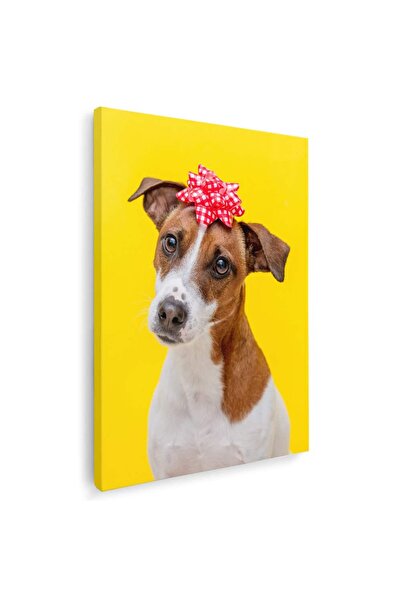 Tablou Canvas Tablou caine Jack Russell Terrier cu funda, cod 4145