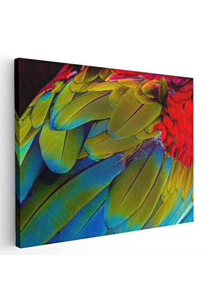 Tablou Canvas Tablou aripa papagal Ara rosu verde albastru, cod 1595