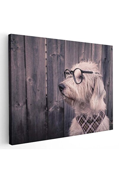 Tablou Canvas Tablou profil caine cu ochelari, cod 4184