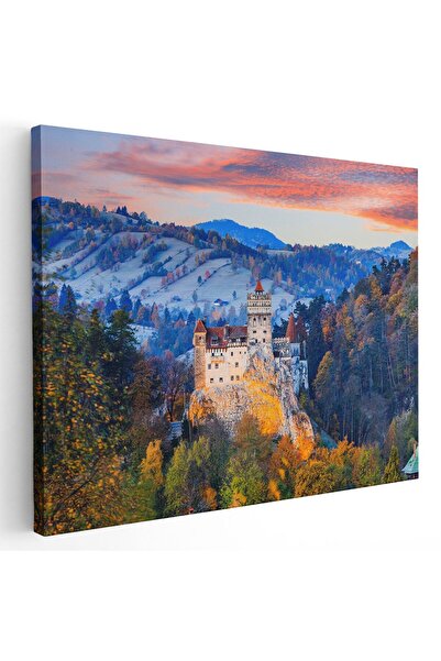 Tablou Canvas Tablou Castelul Bran Dracula Romania, cod 1530