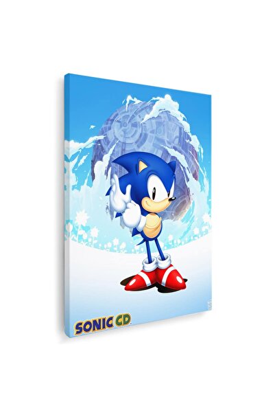 Tablou Canvas Tablou Sonic Ariciul, cod 3659