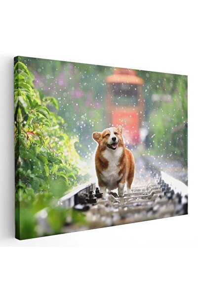 Tablou Canvas Tablou caine rasa Corgi in ploaie, cod 3257