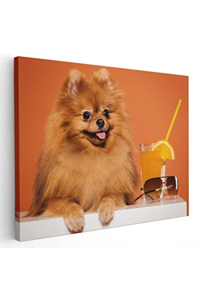 Tablou Canvas Tablou caine pomeranian cu pahar suc, cod 4167
