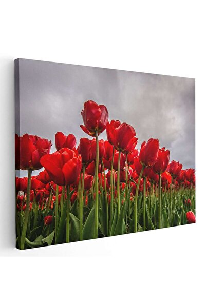 Tablou Canvas Tablou peisaj flori lalele rosii, cod 2640