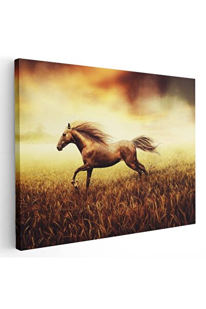 Tablou Canvas Tablou cal alergand prin lan de grau, cod 5266