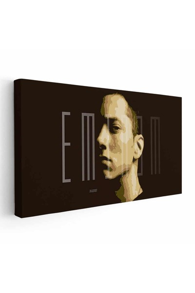 Tablou Canvas Eminem cantaret rap, cod 2392