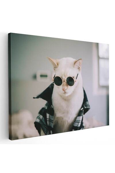 Tablou Canvas Tablou pisica alba cu ochelari, cod 3058