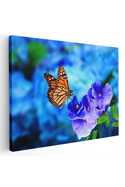 Tablou Canvas Tablou fluture monarh pe floare albastra, albastru, cod 1582