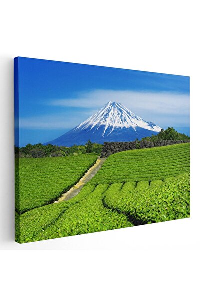 Tablou Canvas Tablou muntele Fuji Japonia, cod 4395
