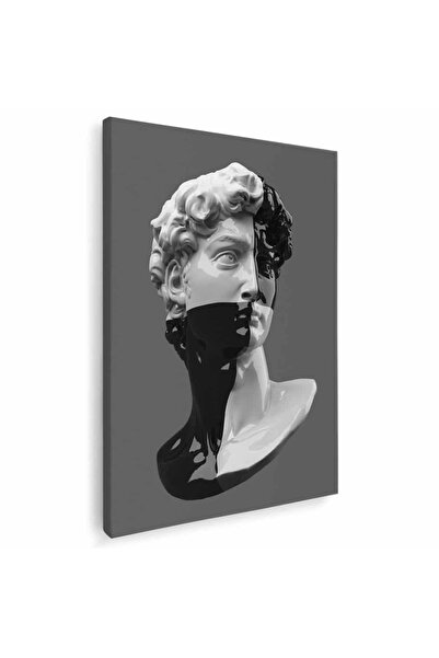 Tablou Canvas Tablou cap statuie David, cod 3114