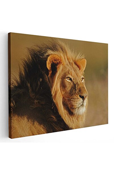 Tablou Canvas Tablou leu in natura, cod 3252