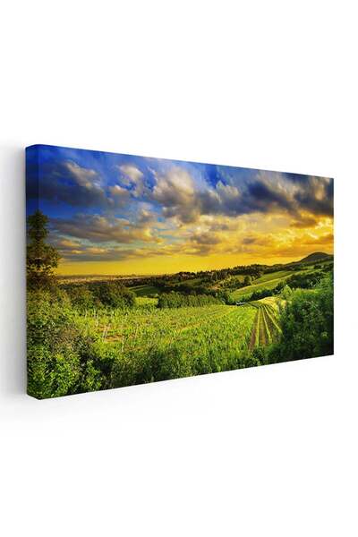 Tablou Canvas Tablou peisaj podgorie la apus, cod 4515