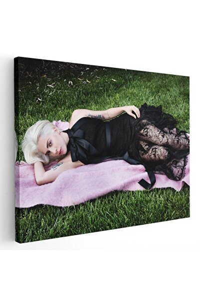 Tablou Canvas Lady Gaga cantareata, cod 2271