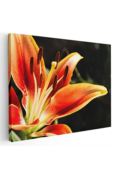 Tablou Canvas Tablou floare crin, detaliu, rosu, cod 1911