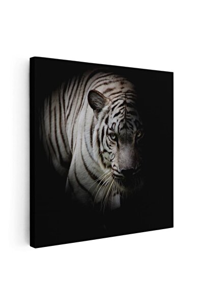 Tablou Canvas Tablou tigru alb fundal negru, cod 3234